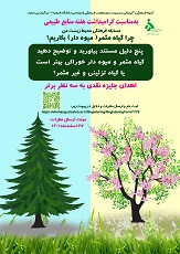 اعلام برگزیدگان مسابقه فرهنگی محیط زیست من چرا نهال مثمر( میوه دار) بکاریم؟