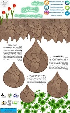 مسابقات زیسترو ، پیشرو در محیط زیست