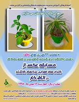 صورة مصغّرة