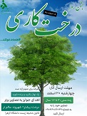 تصویر کوچک