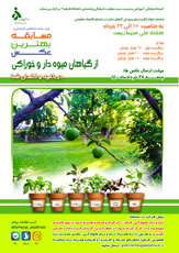 صورة مصغّرة