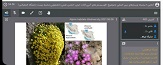 صورة مصغّرة