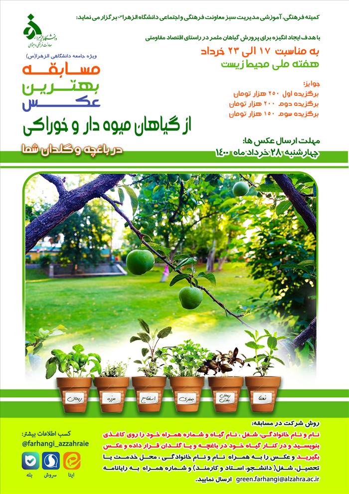 تصویر کوچک
