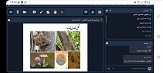 صورة مصغّرة